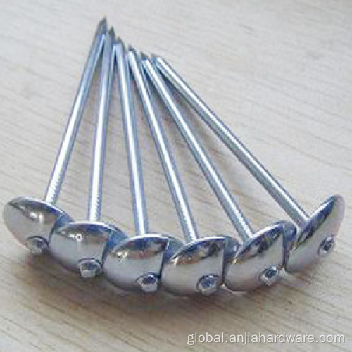 Common Iron Nail Polished Common Iron Nails 3 Inch for Construction Factory